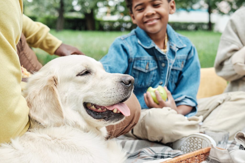 A dog enjoys time out at a picnic with a family.