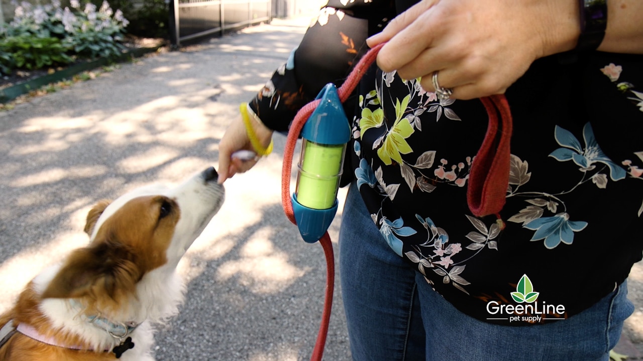 A dog leash with poop bag holder