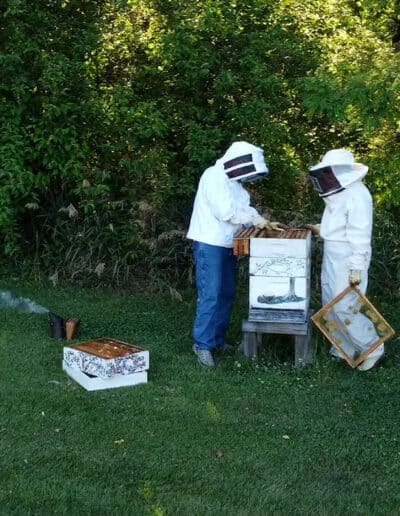 Beekeepers inspect a hive.